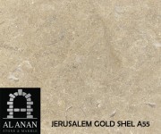 Jerusalem Gold Shel